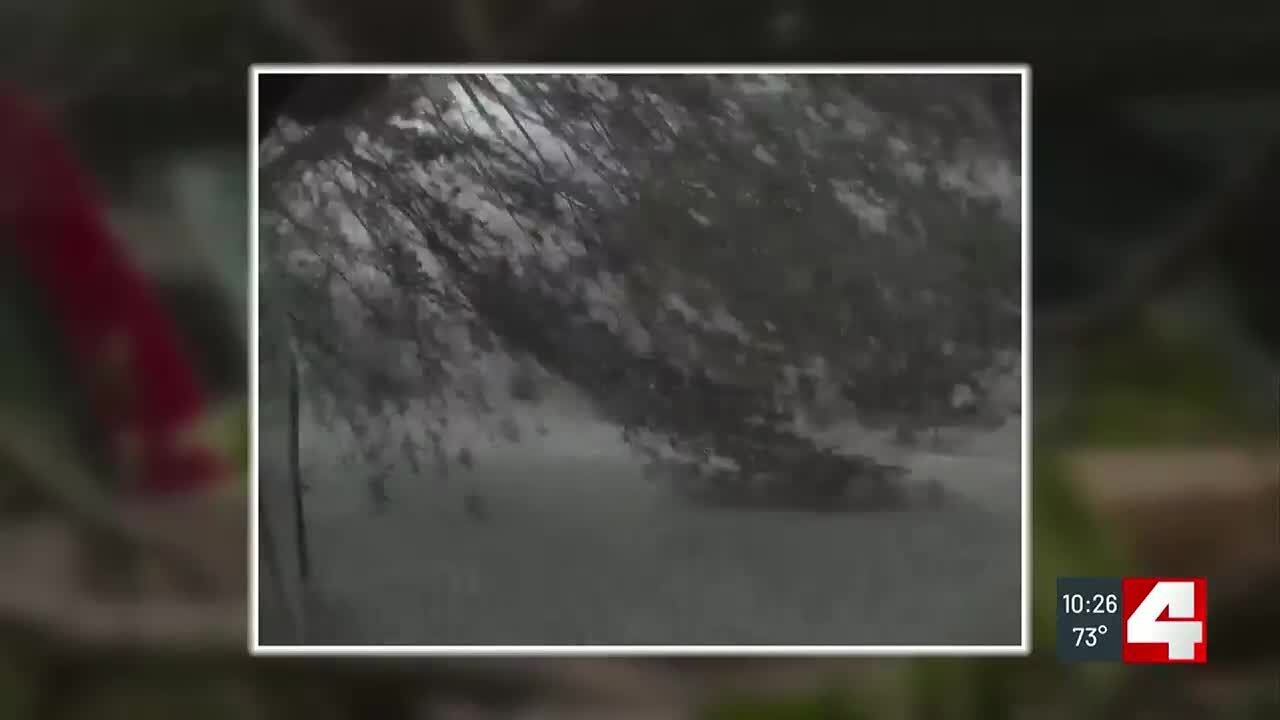 Security video captures toppling trees as tornado blitzes CWE ...