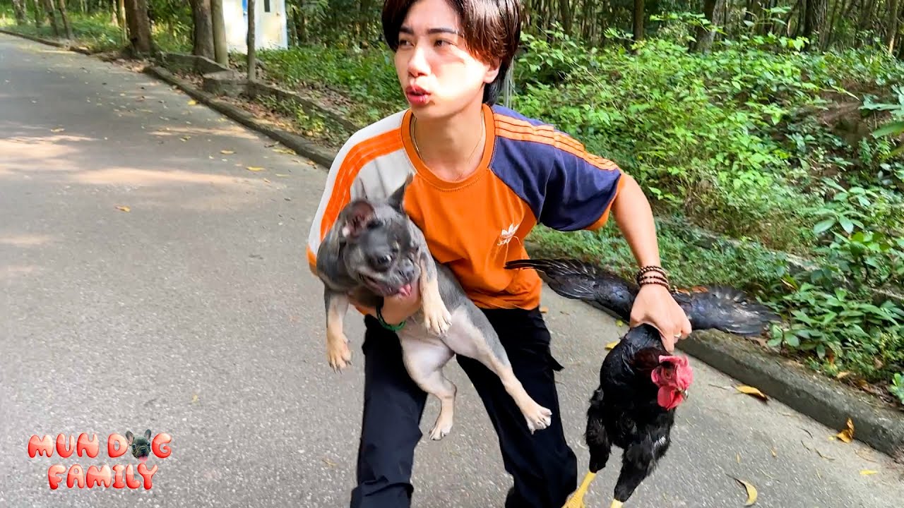 My dog ​​worried me when her went missing in the woods