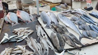 #shorts | Fish bargaining  | chennai fish market tamil | Pattinapakkam fish | fish price |