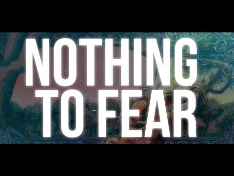 Suffer No Fools: We Die As We Live - Nothing to Fear (Lyric Video)