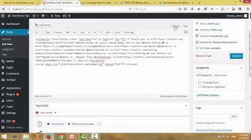 How to show  twitter video in WordPress Post or Page