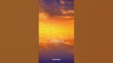 ما شاء الله تبارك الله تلاوة خاشعة هادئة تريح القلوب و النفوس
