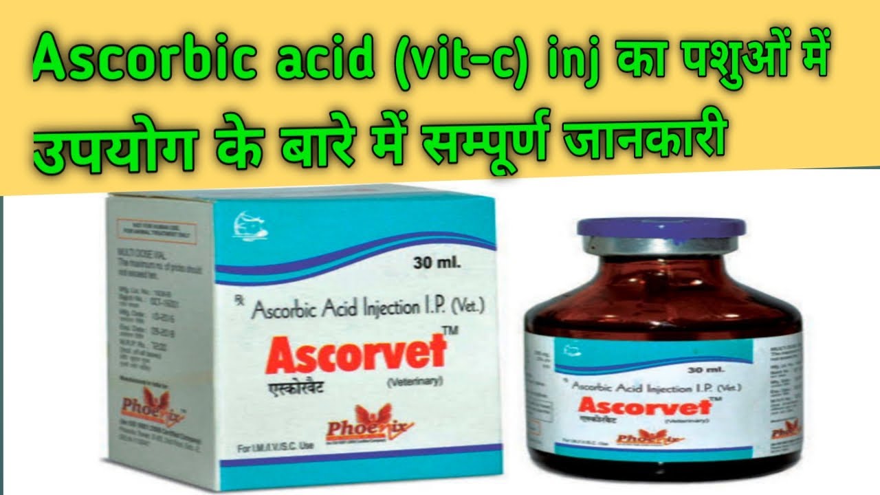Ascorbic acid inj ( VitC ) use in veterinary in hindi !! YouTube