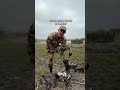 Duck Species In Mexico Fresh Water Ponds
