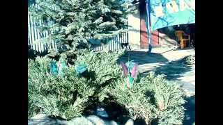 Motyl ogrodowy solarny screenshot 2