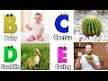 ABC Phonics Song - Toddler Learning Video Songs , A for Apple , Nursery Rhymes , Alphabet song