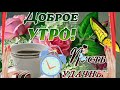 Доброе утро.Пусть удачным будет день.