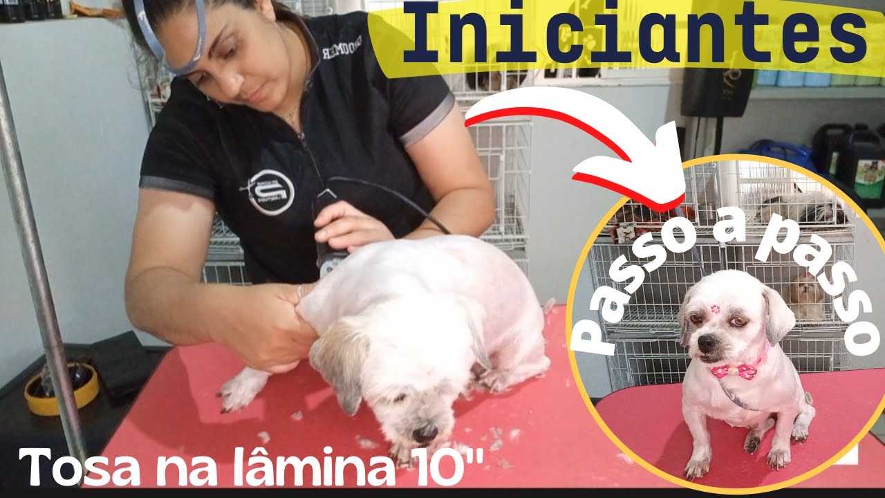 Como tosar na lâmina 10