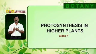 Free Entrance Coaching | Crack the Entrance Botany | Photosynthesis Higher Plants | Epi - 07