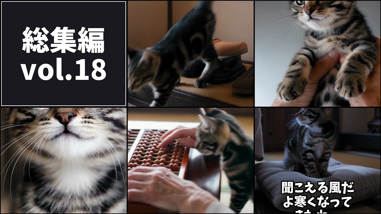 Cat Compilation_Vol. 18 - YouTube