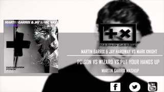 Poison vs Wizard (Martin Garrix  Mashup) [Eddwel Remake]