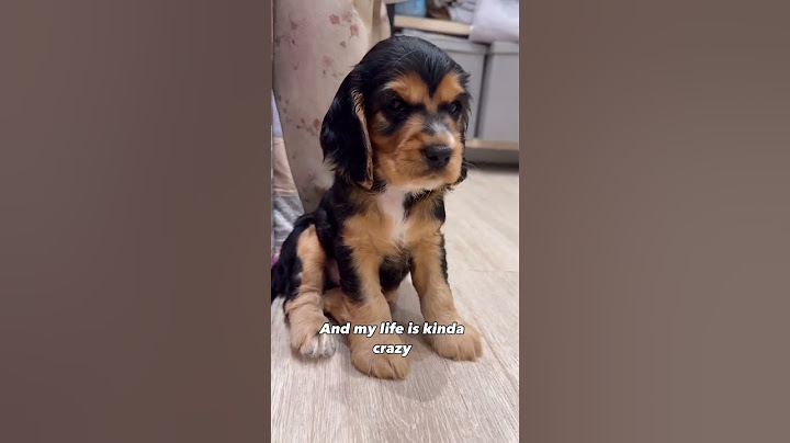 His life may be a bit crazy, but I think Bruno is one lucky guy ♥️🥰 not to mention the perfect mix