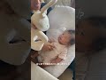 【生後1ヶ月】友達から貰ったはじめてのおもちゃに驚く赤ちゃん🤭唖然とする顔がかわいすぎる♡