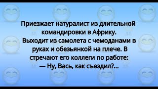 Лучшие анекдоты и приколы для хорошего настроения! #182