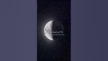 تلاوه خاشعه جميله بصوت الشيخ عبدالبديع غيلان ارح سمعك #اكسبلور_فولو #عبدالبديع_غيلان