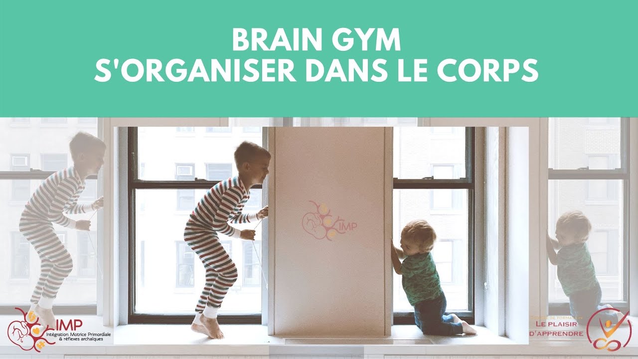 Brain Gym s'organiser dans le corps - Intégration Motrice Primordiale (IMP)