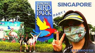 Where to go in Singapore: 20201108 #JurongBirdPark Part1
