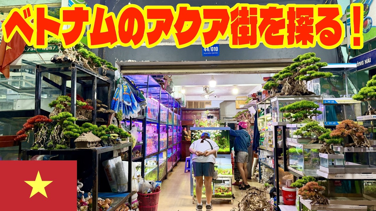 【アクアリウム】ベトナムのアクアリウム事情を見てみたい（ホーチミンにあるアクア街に潜入！日本に比べてどうなのか？）
