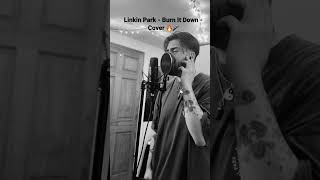 Linkin Park - Burn It Down - Cover
