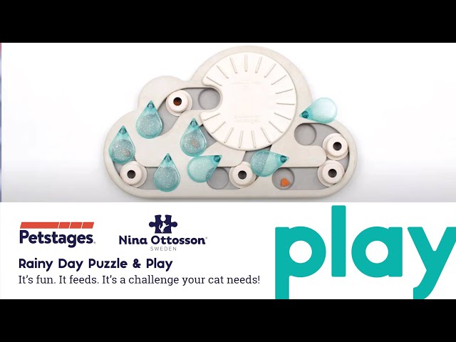 Petstages Rainy Day Puzzle & Play Cat Treat Puzzle