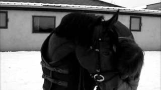 Download Lagu Maybe I love you, maybe I just like the sound MP3