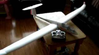 DG 1000 EP RTF, Pre flight test