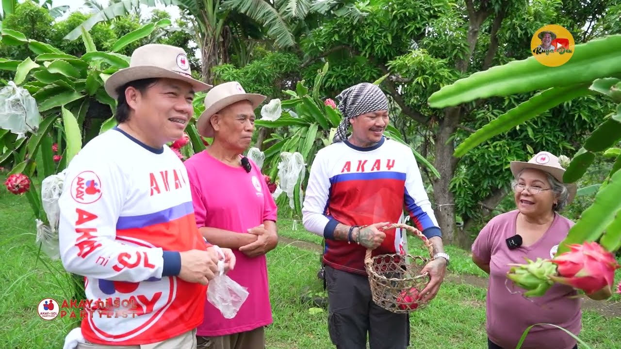 DRAGON FRUIT Farming Gaano ba kagandang Negosyo?