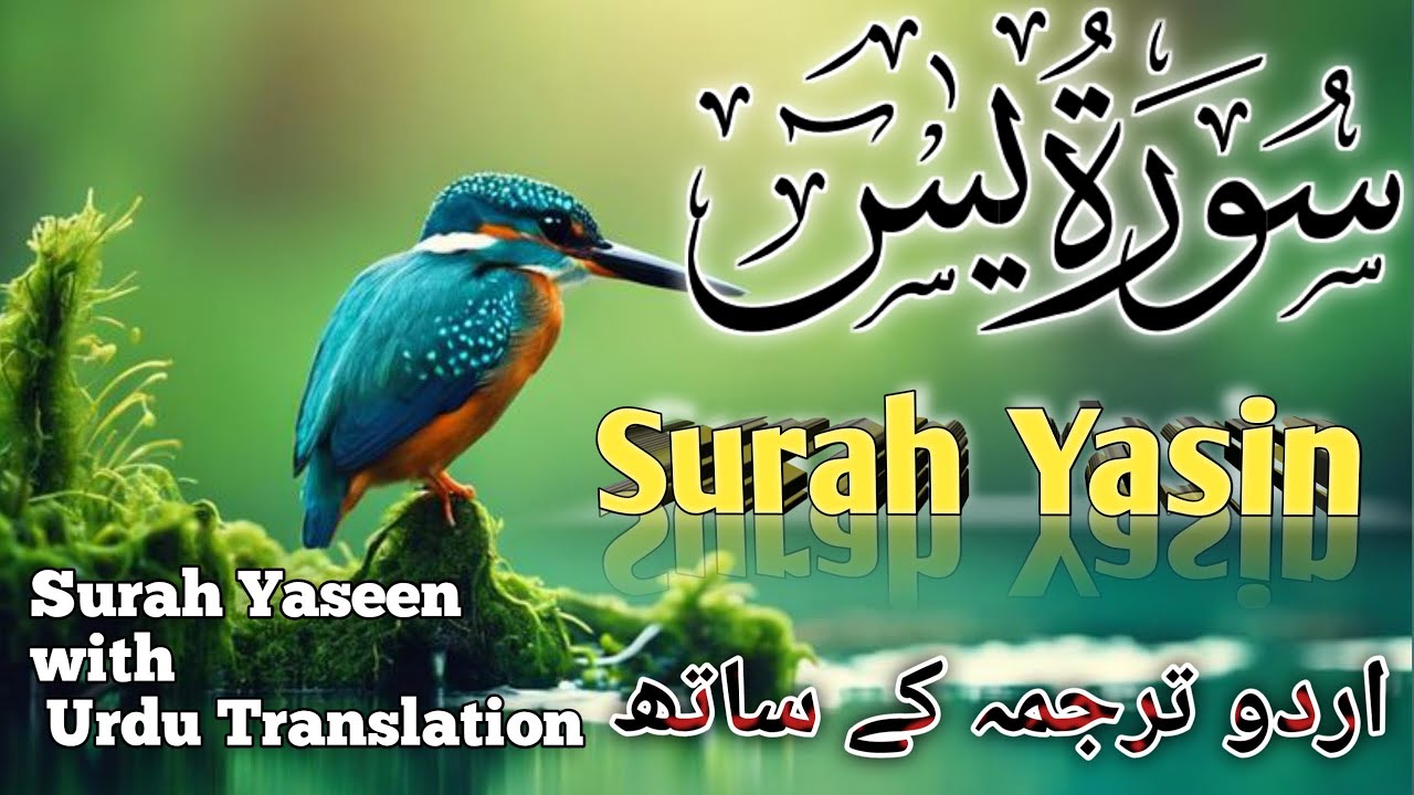 The BIGGEST Misconception About Islamic Practices in 2026