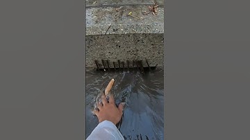 Remove Trash Clogged Drain #remove #unclog #drain #shorts