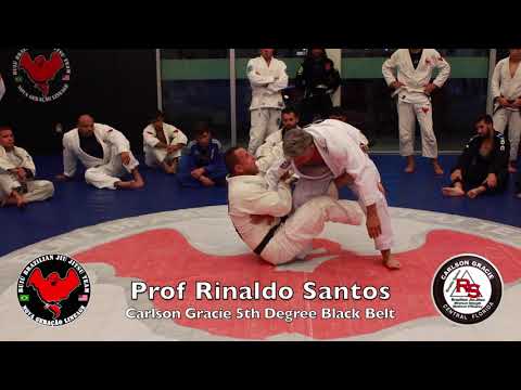 Prof. Rinaldo Santos at Carlson Gracie Miami