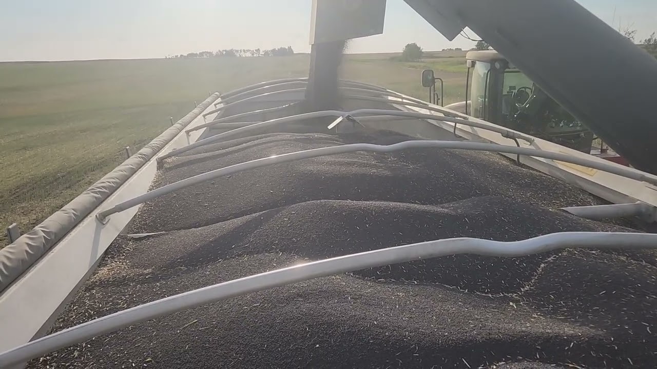 Some great unloading skills from our grain cart operator 