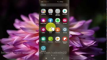 Samsung Galaxy S10 : How to show or hide Multimedia Messages when delivered (Android 10)