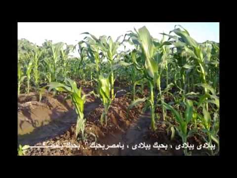 بحبك يامصر فايزة احمد