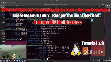 15 Perintah Dasar Linux yang Harus Kamu Kuasai Sekarang! [Tutorial CLI Terminal Linux #3]