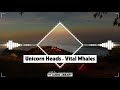 Unicorn Heads Vital Whales No Copyright Music