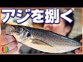 【アジ】日本の魚の王様！？鯵を捌いていくっ！！【さばく】【4Gamer】Vol.88