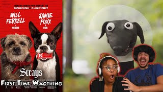 STRAYS (2023) | Movie Reaction | First Time Watching