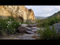 Peaceful River Stream Sounds for Gentle Dreams