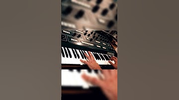 Synthex LFO Chords #synthesizer #synth #elkasynthex #behringerstx