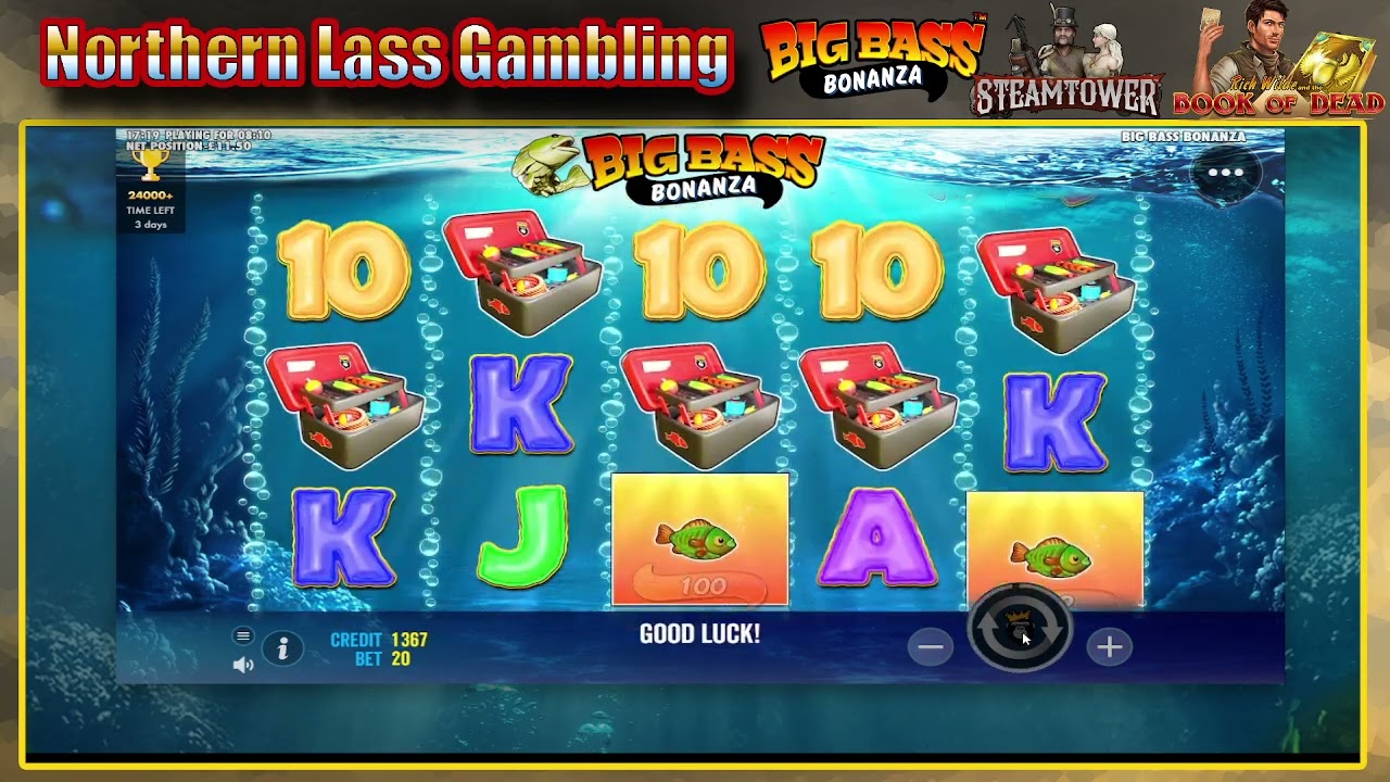 High Bet Casino Stream
