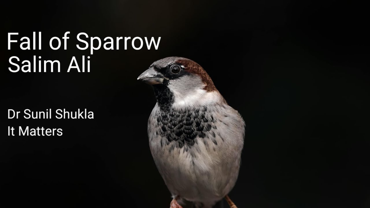 Fall of a Sparrow | Salim Ali | Dr. Sunil Shukla