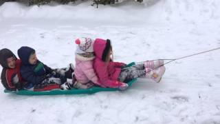 Sledding at gg's jan 2016