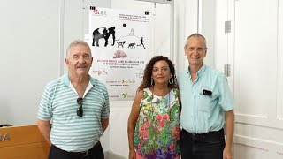 Los parajes mineros vuelven a ser protagonistas en el Cross de Llano del Beal