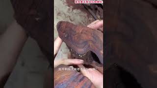 一对海黄金饭碗的前世今生