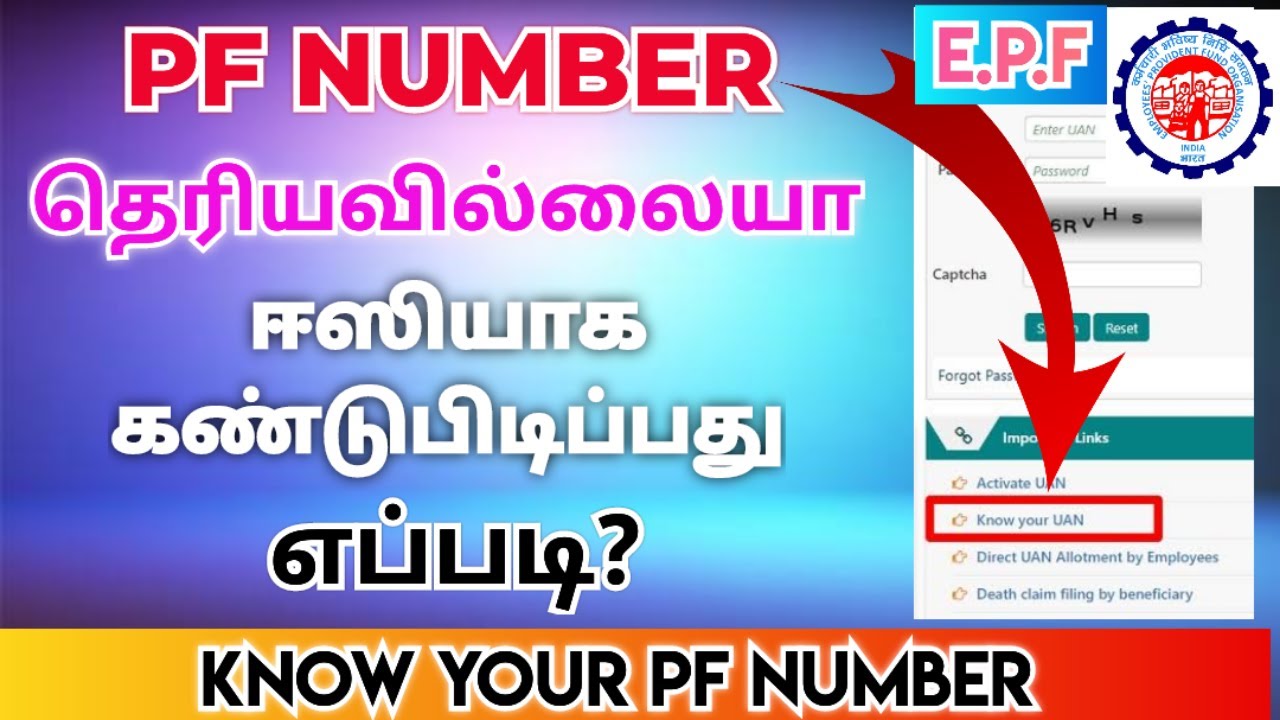 how to find pf account number in tamil | how to find pf account number ...