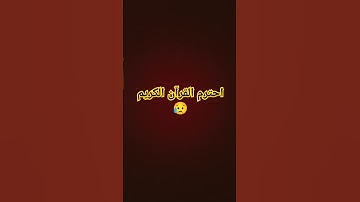 احترم القرآن الكريم 😥 #لايك #اكسبلور #المصحف