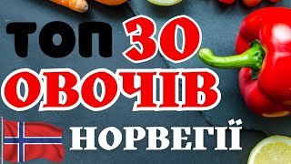 🍅🥒Норвезькі Овочі -  Смачний Спосіб Вивчити Норвезьку Мову!🌶🥦 #норвегія #біженцізукраїни