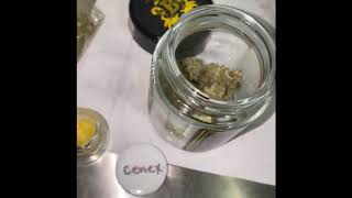 Dank & Dabz