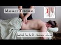 Massage Tutorial: THE QL - Low Back Pain
