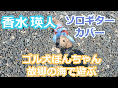 香水　瑛人　ソロギターカバー